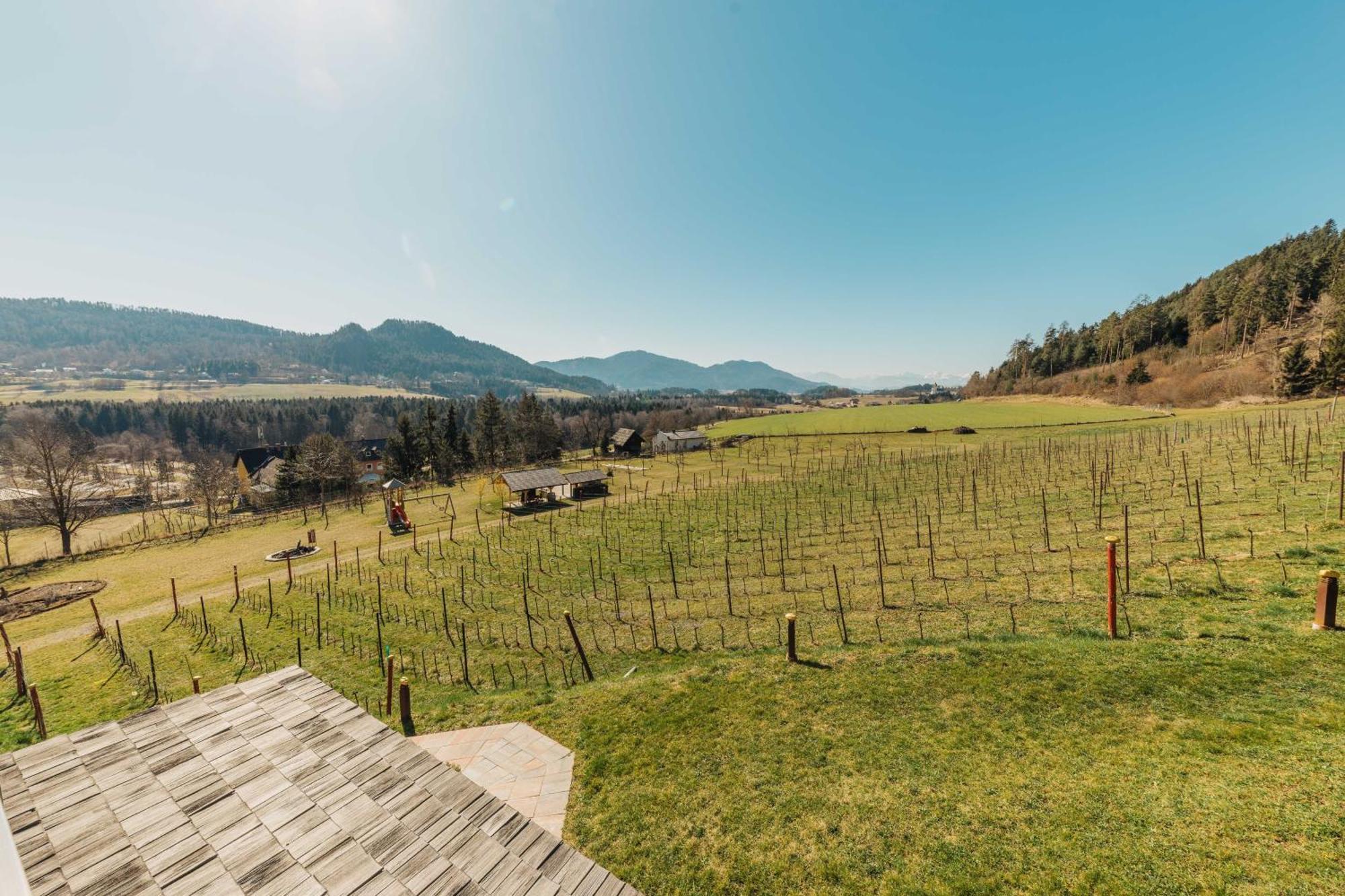 Laengseeleit'N Sankt Georgen am Langsee Exterior photo